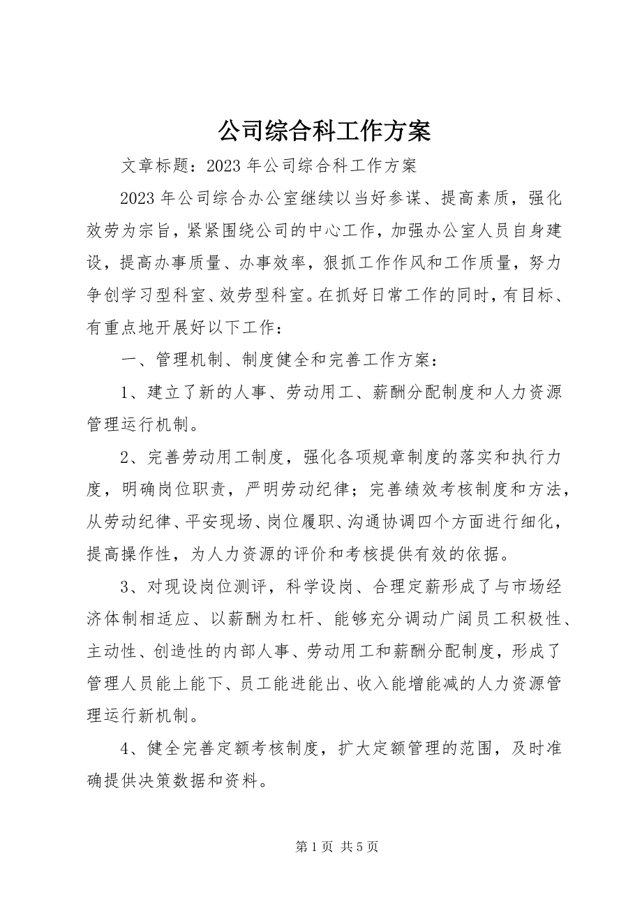 2023年公司综合科工作计划.docx_第1页