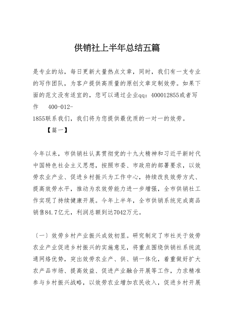 2023年供销社上半年总结五篇新编.doc_第1页