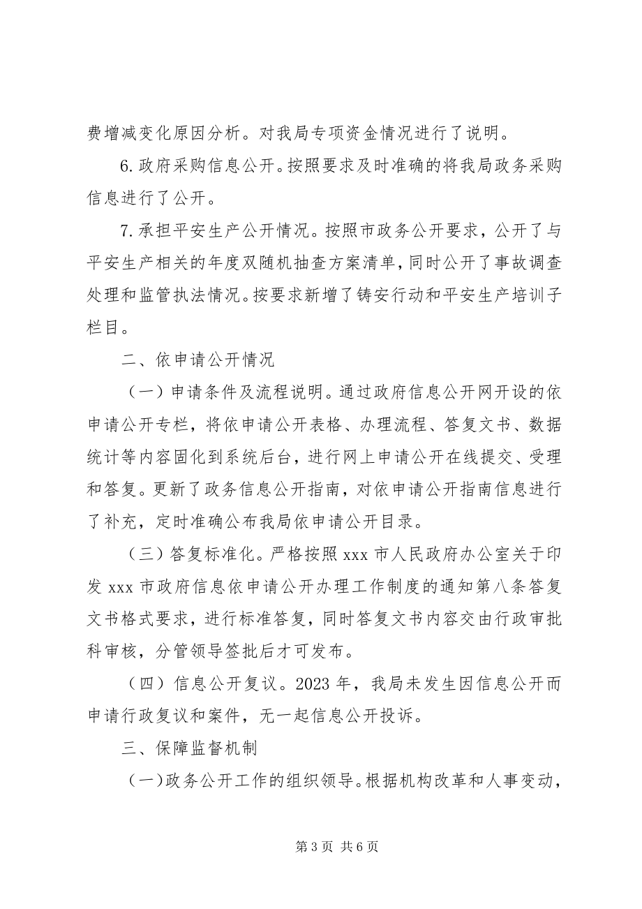 2023年市安监局政务公开工作总结.docx_第3页