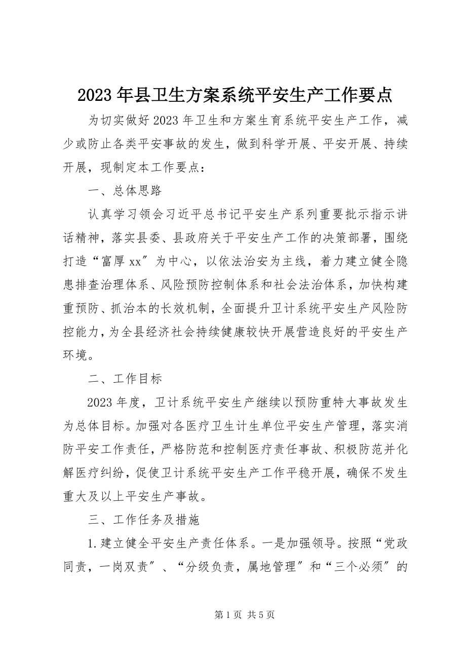 2023年县卫生计划系统安全生产工作要点.docx_第1页