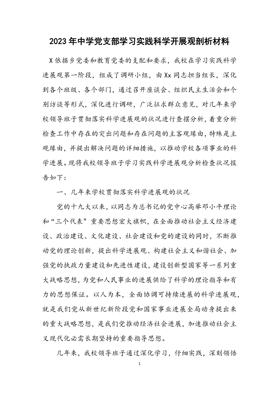 2023年中学党支部学习实践科学发展观剖析材料.docx_第1页