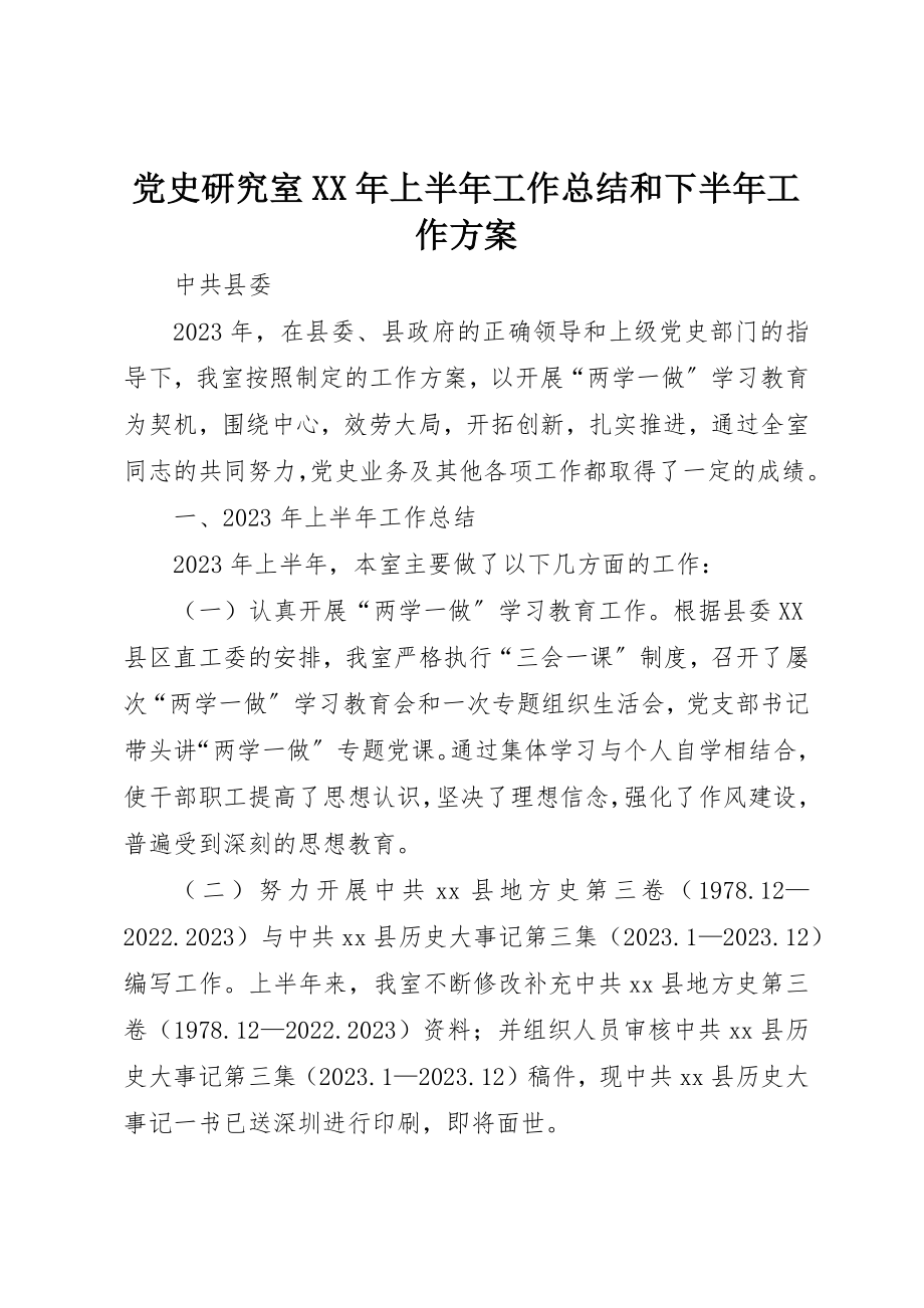 2023年党史研究室某年上半年工作总结和下半年工作计划.docx_第1页