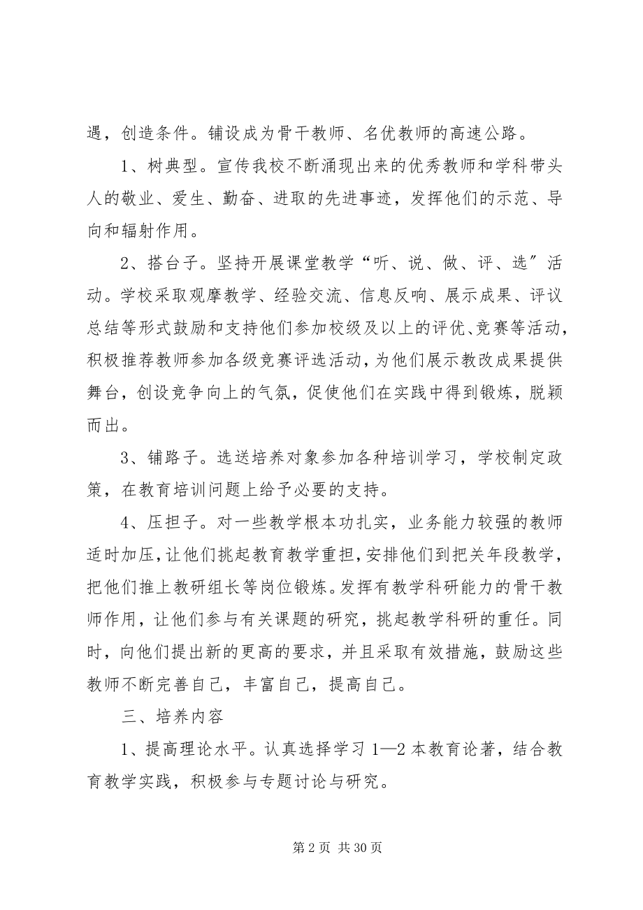 2023年爱国小学人才递进培养计划新编.docx_第2页