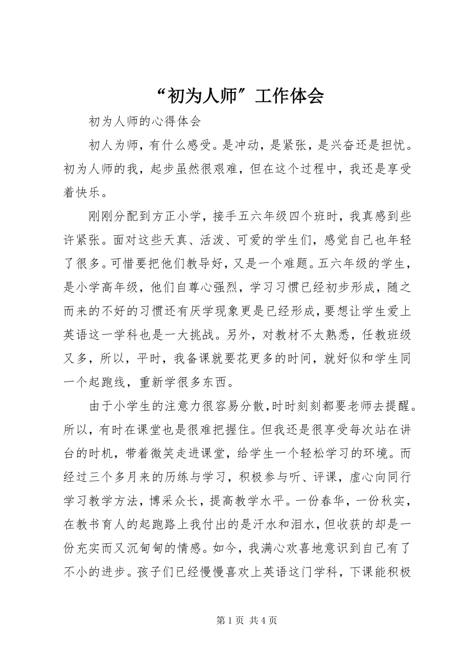 2023年初为人师工作体会.docx_第1页