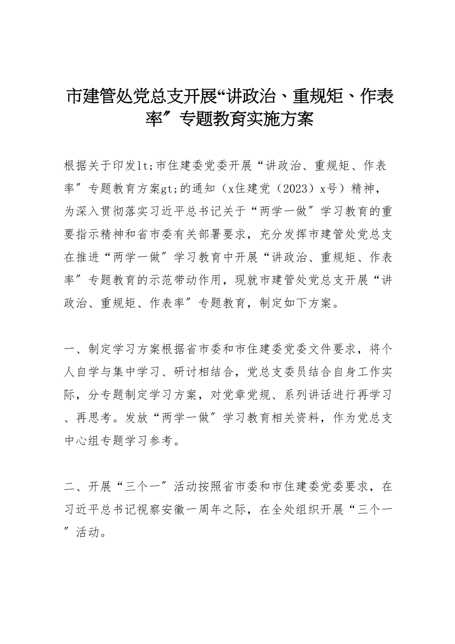 2023年市建管处党总支开展讲政治重规矩作表率专题教育实施方案.doc_第1页