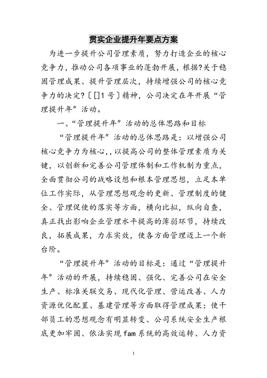 2023年贯实企业提升年要点计划范文.doc_第1页