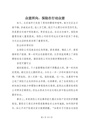 2023年众望所向保险在行动众望.docx