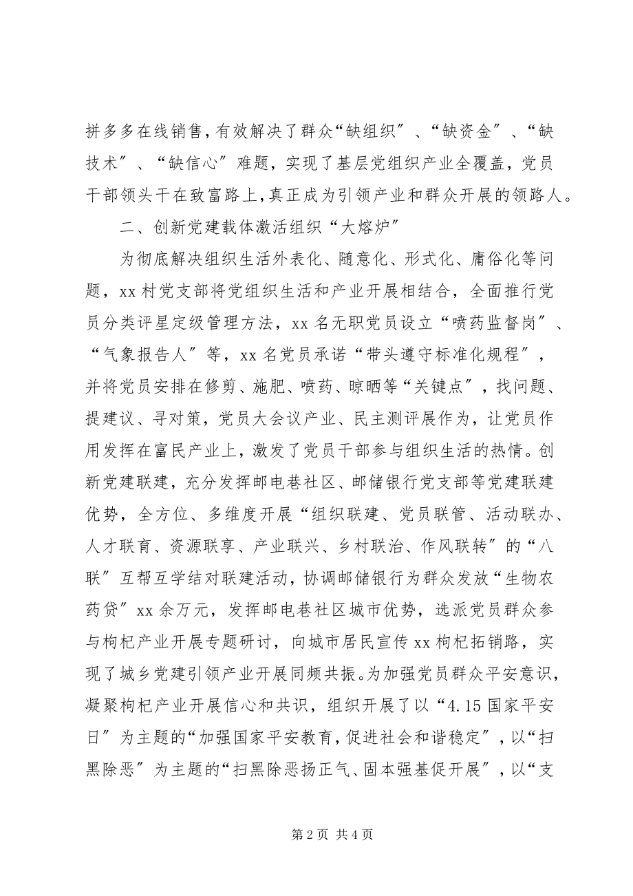 2023年某乡某村党建引领脱贫攻坚典型经验.docx_第2页