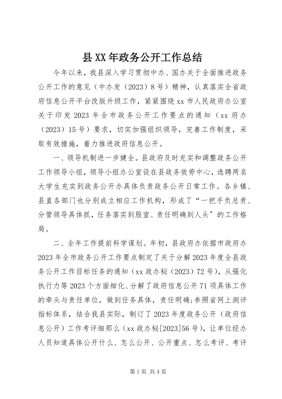 2023年县政务公开工作总结.docx_第1页