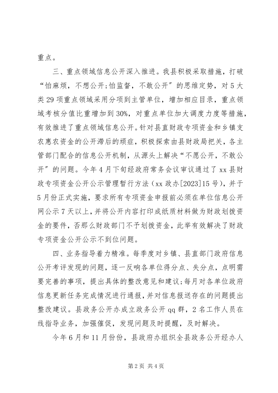 2023年县政务公开工作总结.docx_第2页