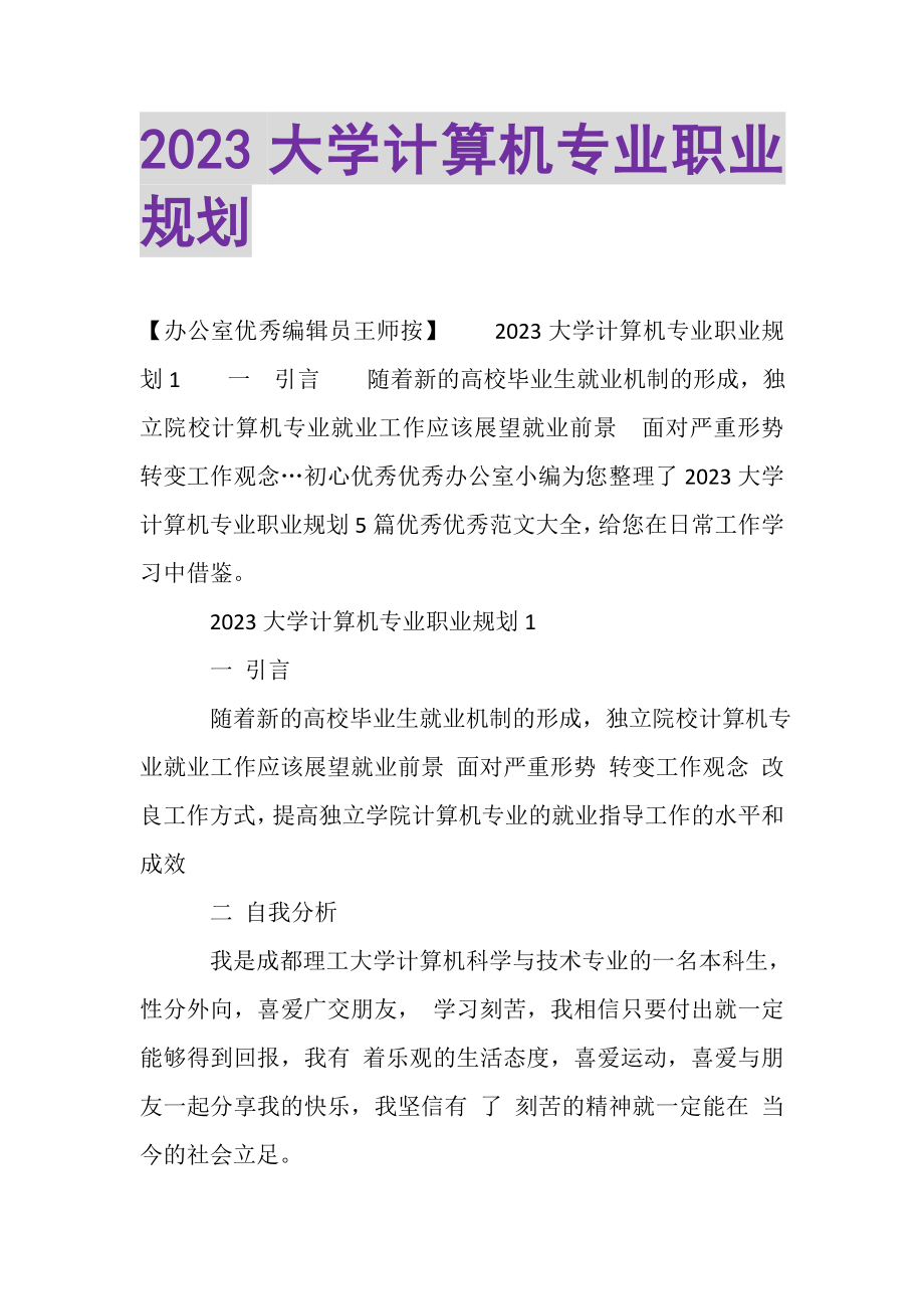 2023年大学计算机专业职业规划.doc_第1页