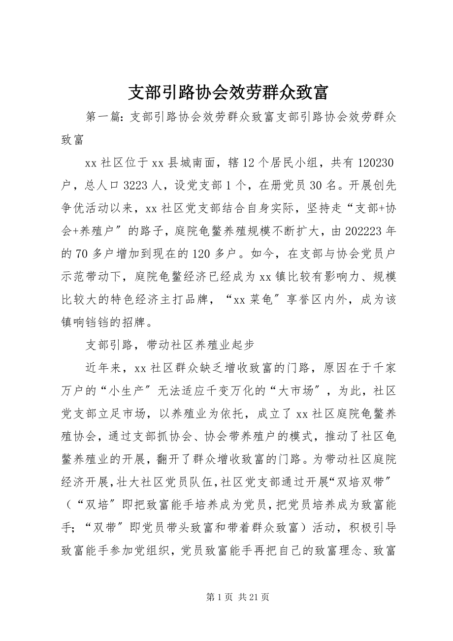 2023年支部引路协会服务群众致富.docx_第1页