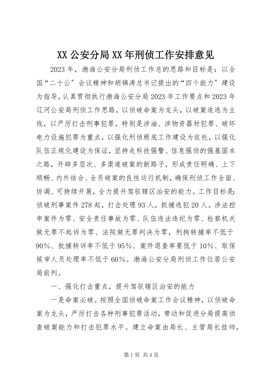 2023年XX公安分局刑侦工作安排意见.docx_第1页