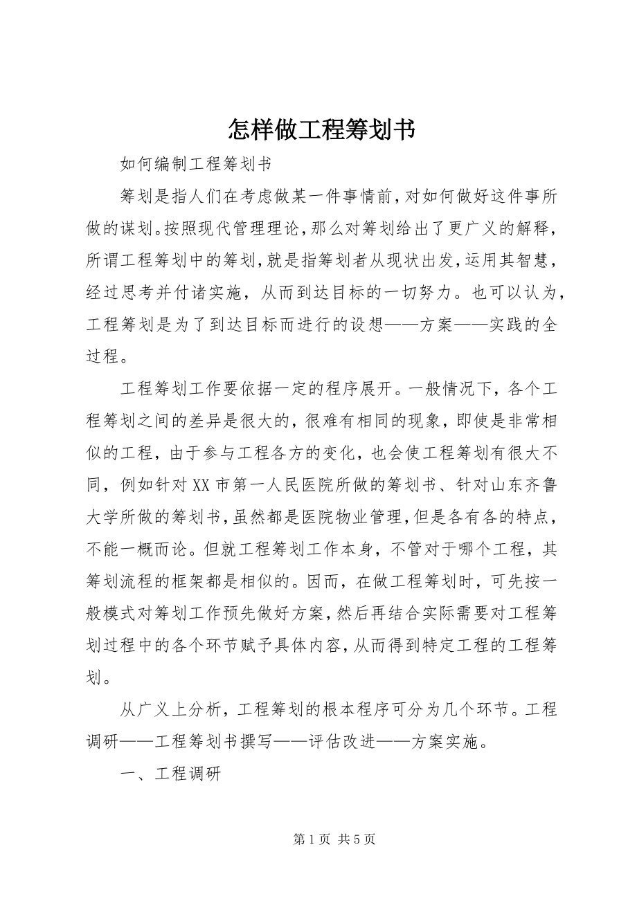 2023年怎样做项目策划书.docx_第1页