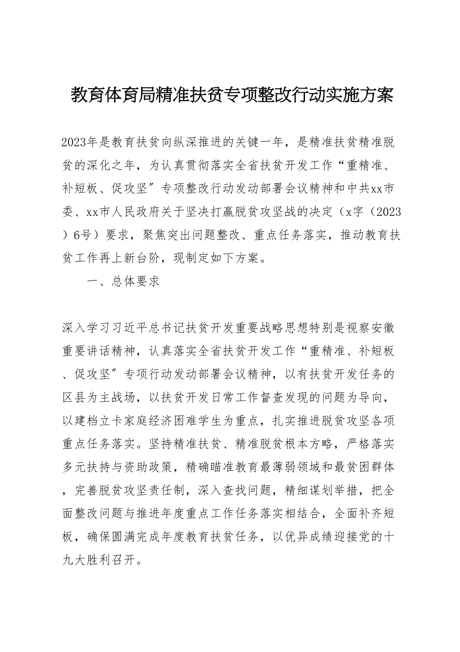 2023年教育局精准扶贫专项整改行动实施方案.doc_第1页