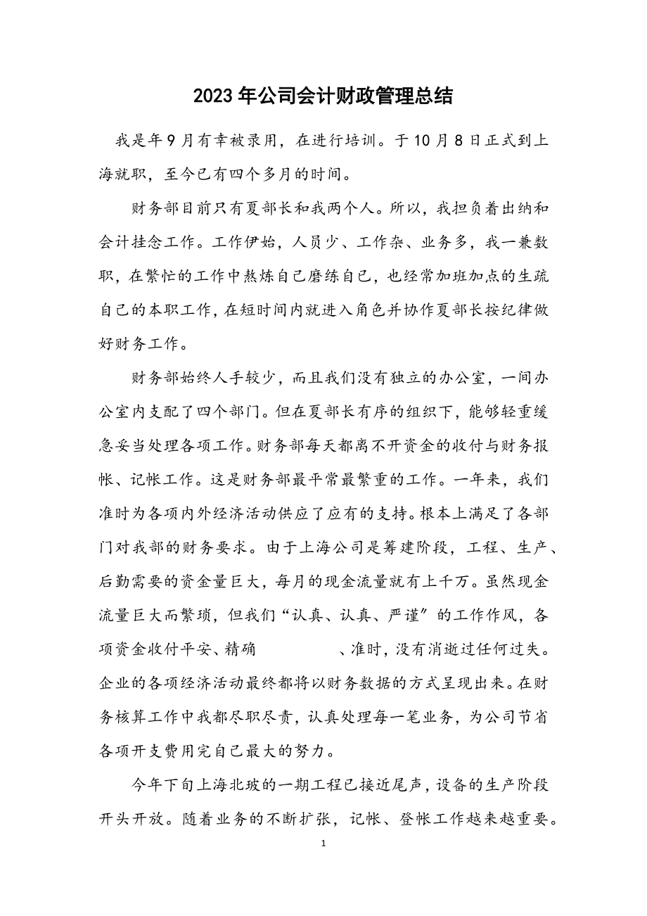 2023年公司会计财政管理总结.docx_第1页