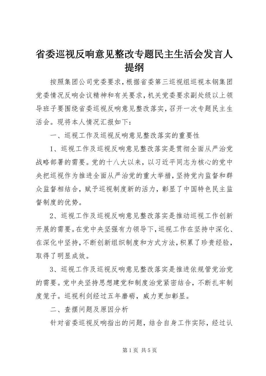 2023年省委巡视反馈意见整改专题民主生活会讲话人提纲.docx_第1页