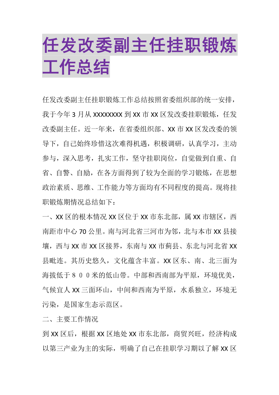 2023年任发改委副主任挂职锻炼工作总结.doc_第1页