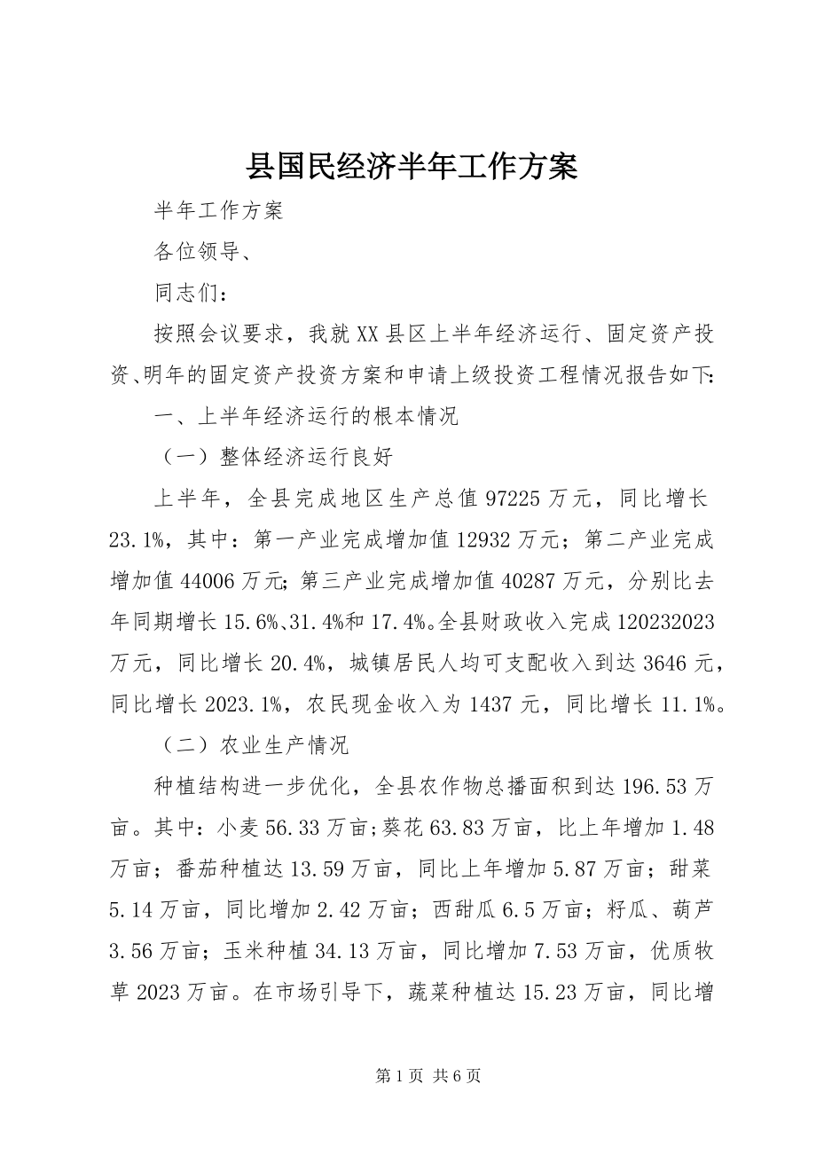 2023年县国民经济半年工作计划.docx_第1页