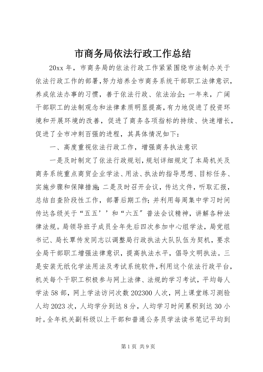 2023年市商务局依法行政工作总结.docx_第1页