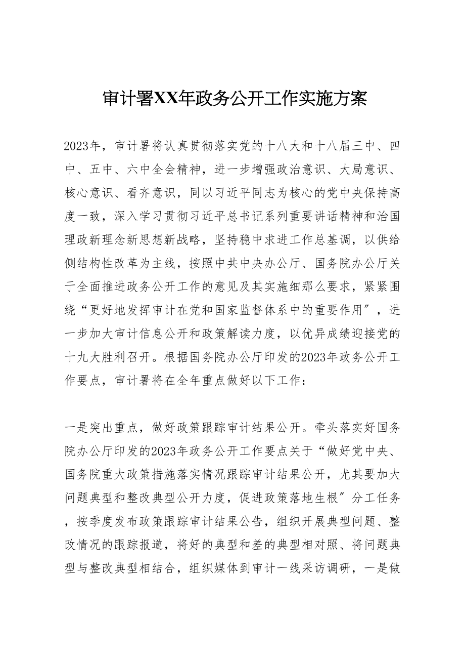 2023年审计署年政务公开工作实施方案.doc_第1页