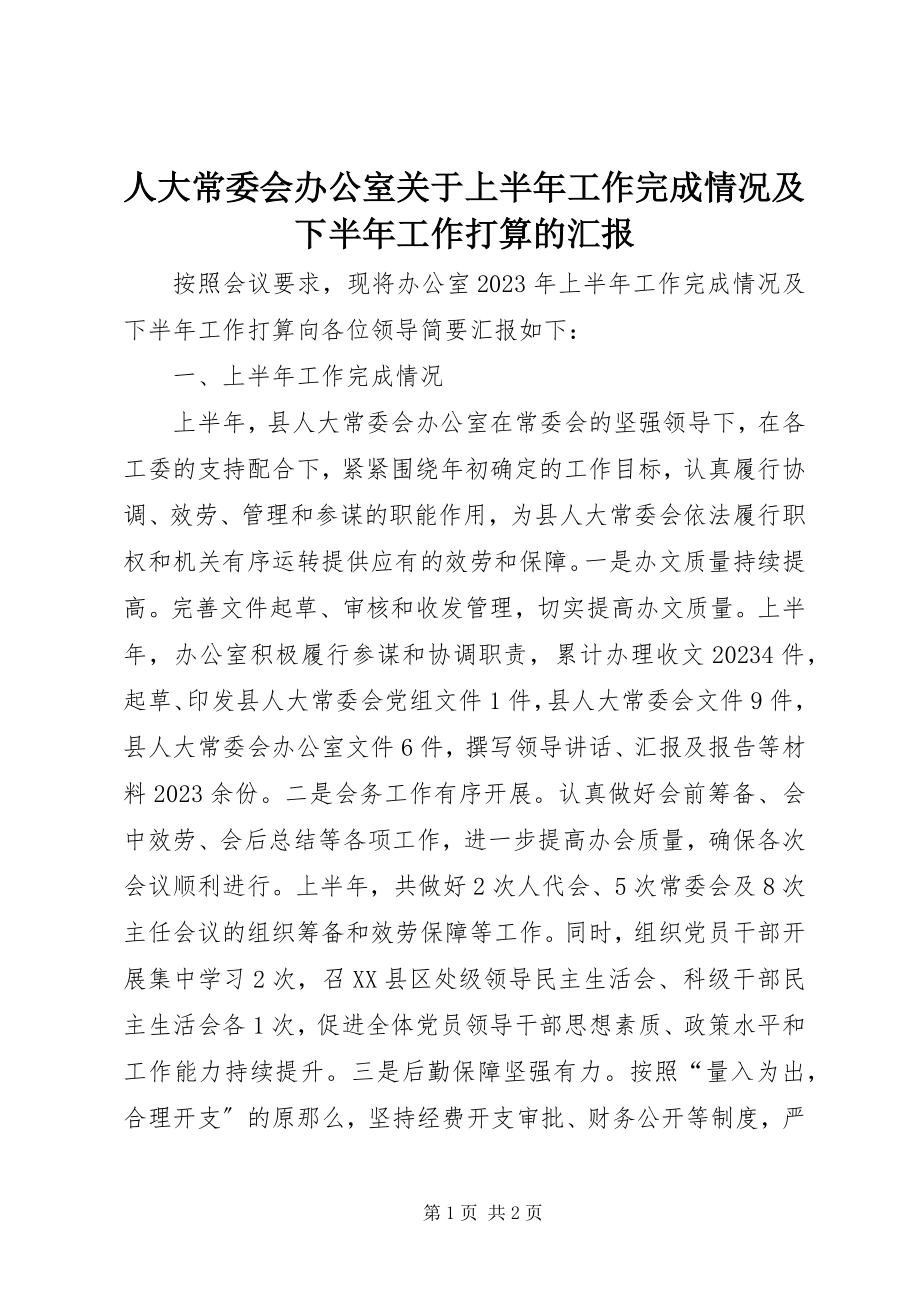 2023年人大常委会办公室关于上半年工作完成情况及下半年工作打算的汇报.docx_第1页