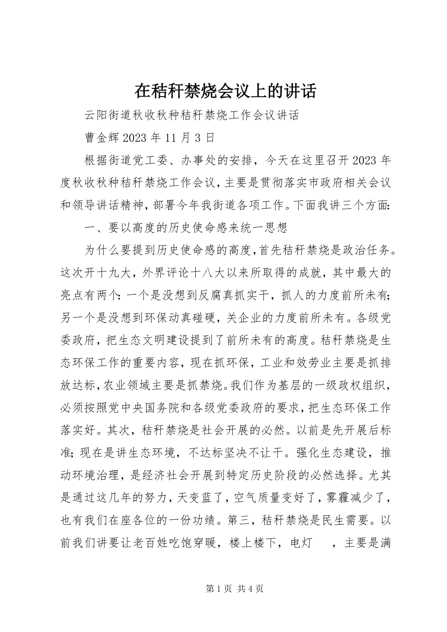 2023年在秸秆禁烧会议上的致辞.docx_第1页