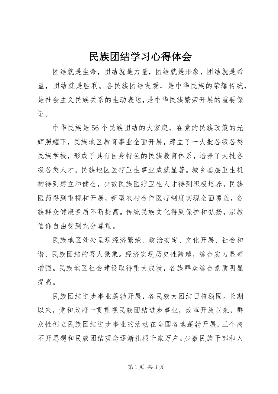 2023年民族团结学习心得体会.docx_第1页