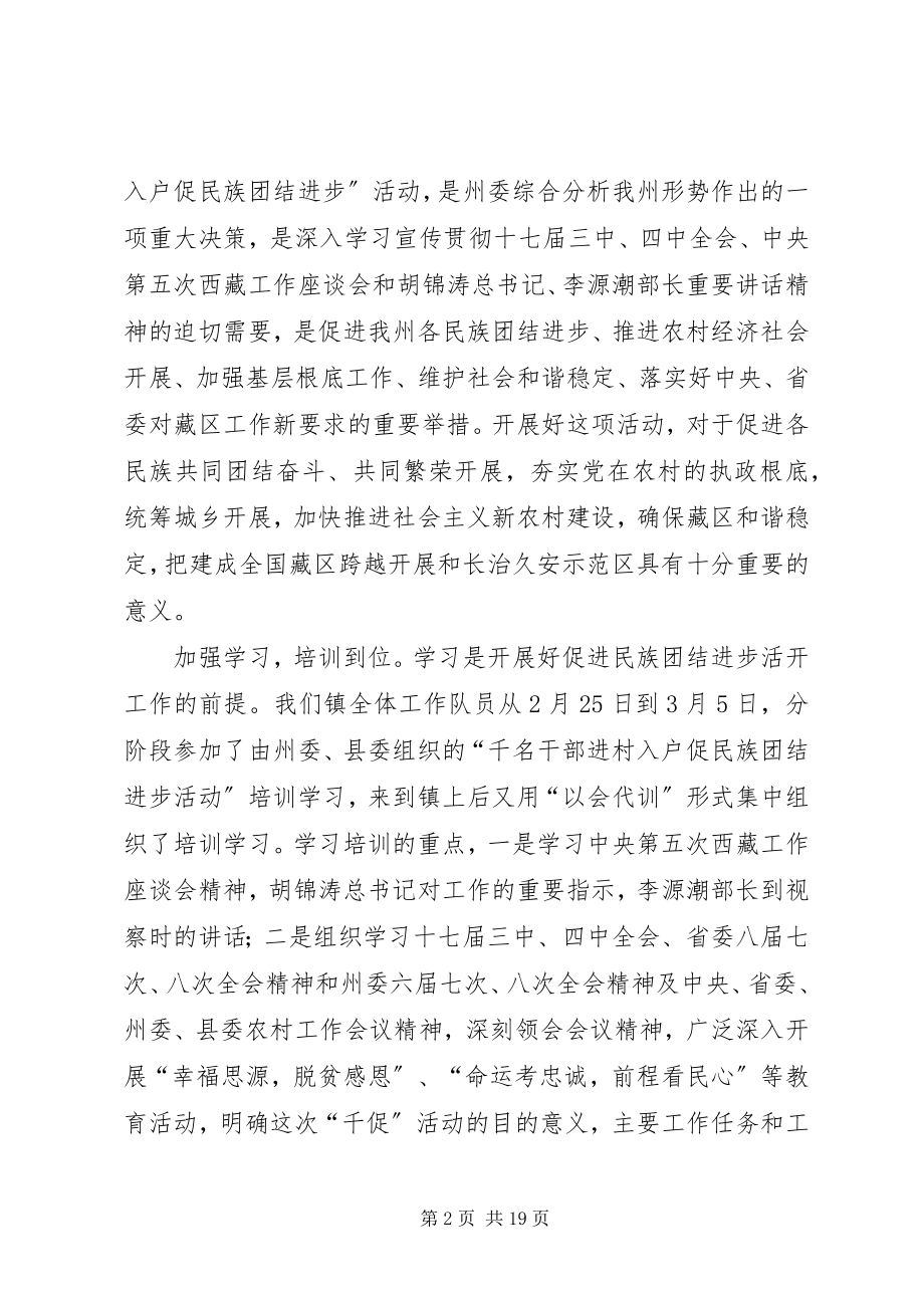 2023年千促工作组工作总结.docx_第2页