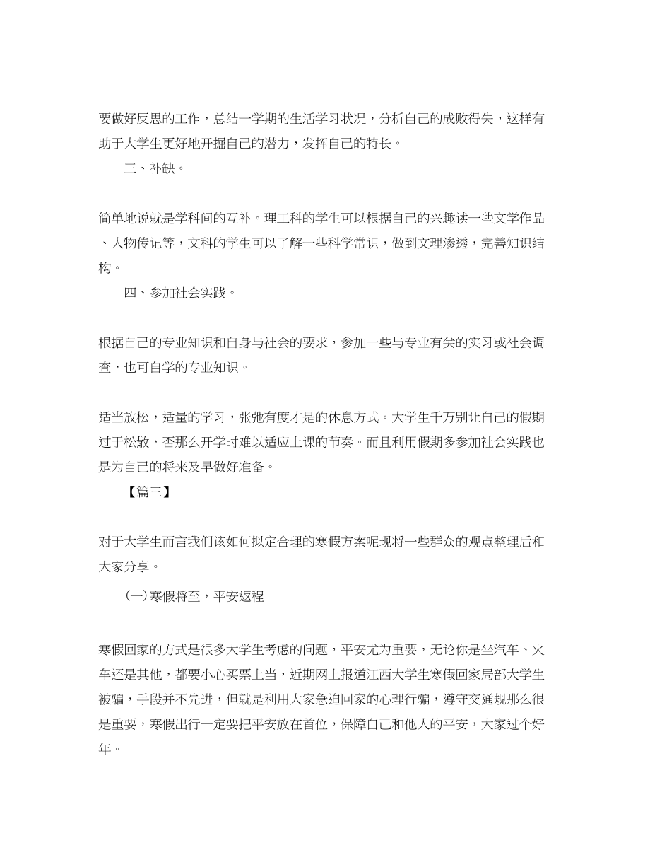 2023年大学生假期工作计划.docx_第2页