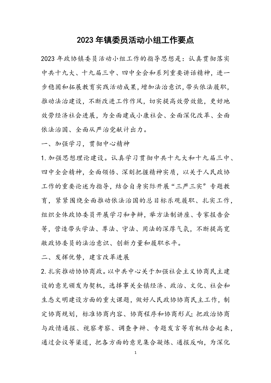 2023年镇委员活动小组工作要点.docx_第1页