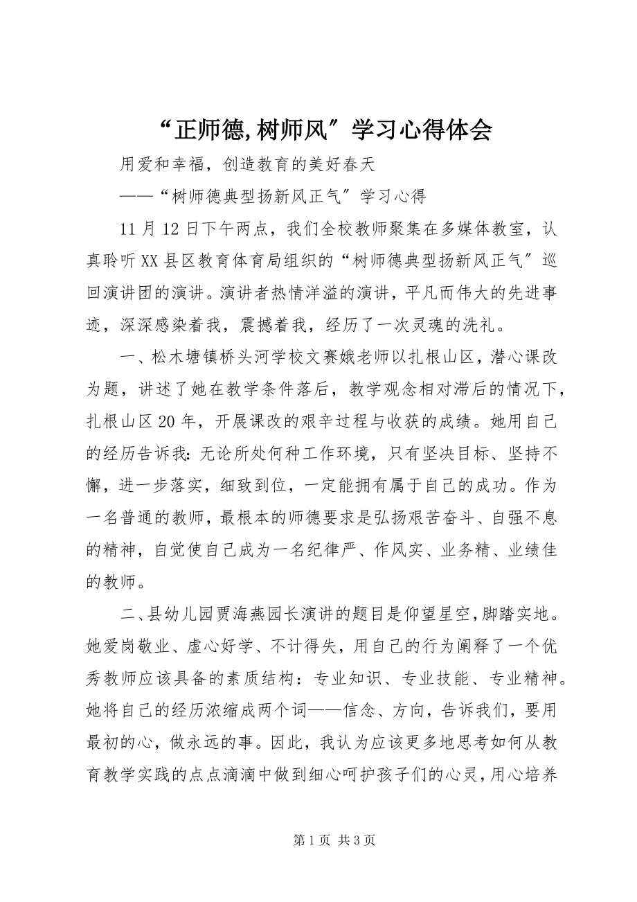 2023年正师德树师风学习心得体会.docx_第1页