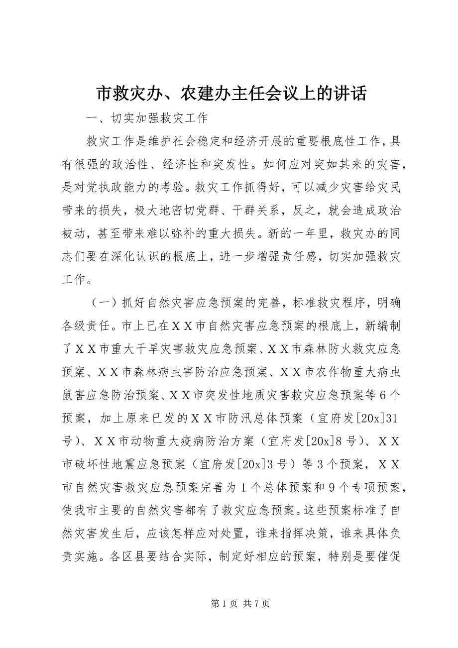 2023年市救灾办农建办主任会议上的致辞.docx_第1页