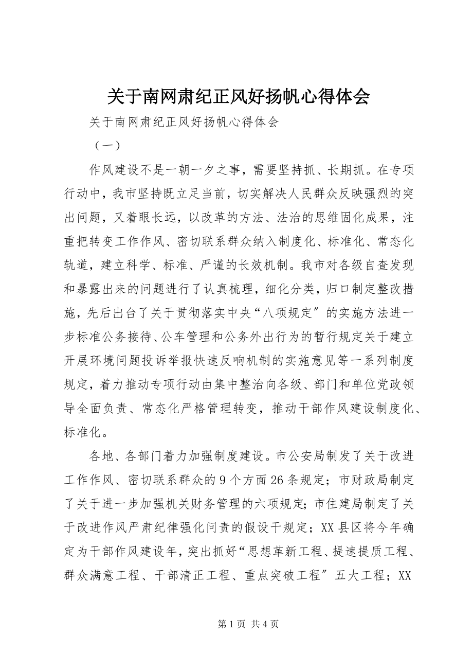 2023年南网肃纪正风好扬帆心得体会.docx_第1页