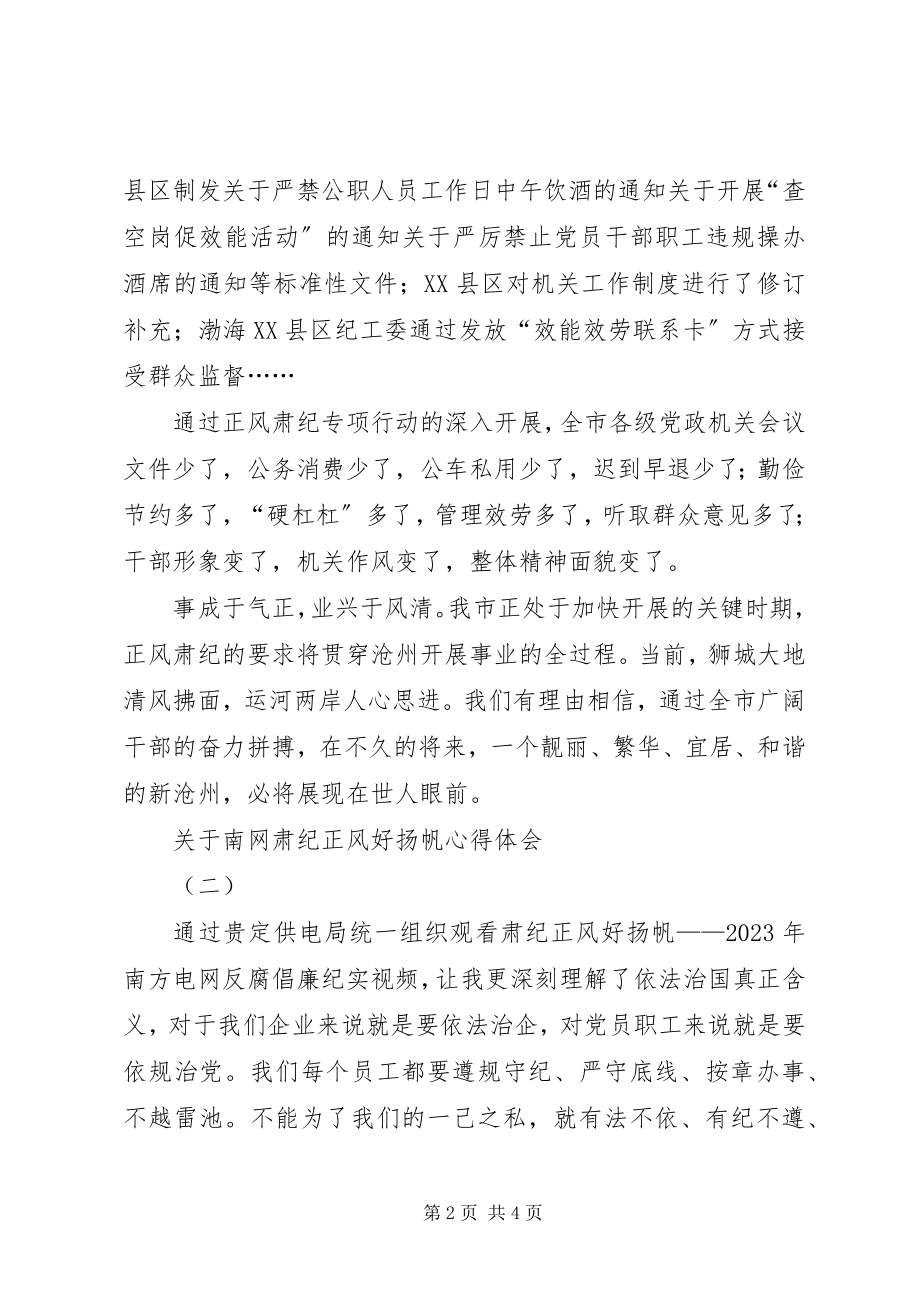 2023年南网肃纪正风好扬帆心得体会.docx_第2页