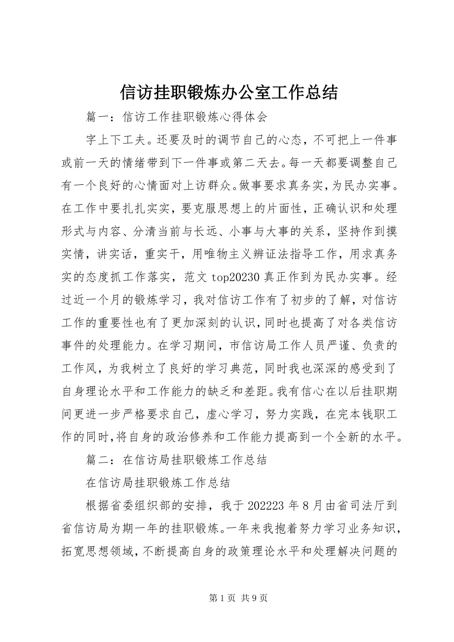 2023年信访挂职锻炼办公室工作总结.docx_第1页