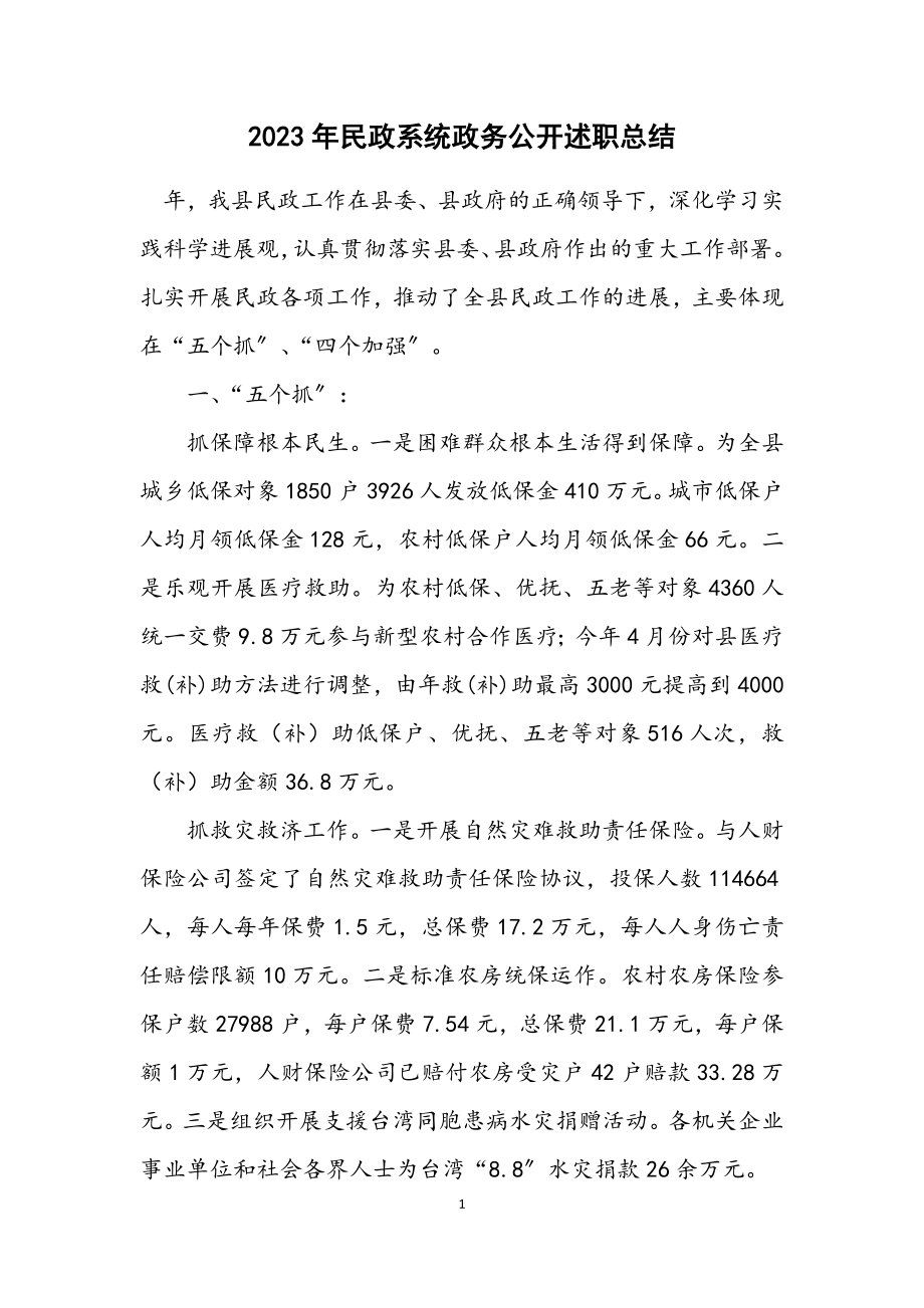 2023年民政系统政务公开述职总结.docx_第1页