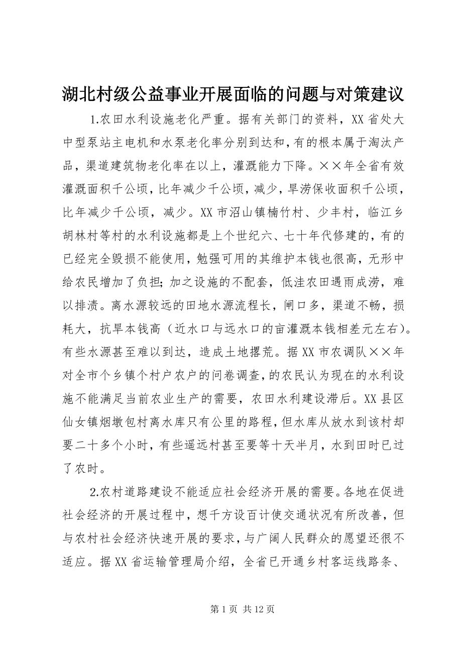 2023年湖北村级公益事业发展面临的问题与对策建议.docx_第1页