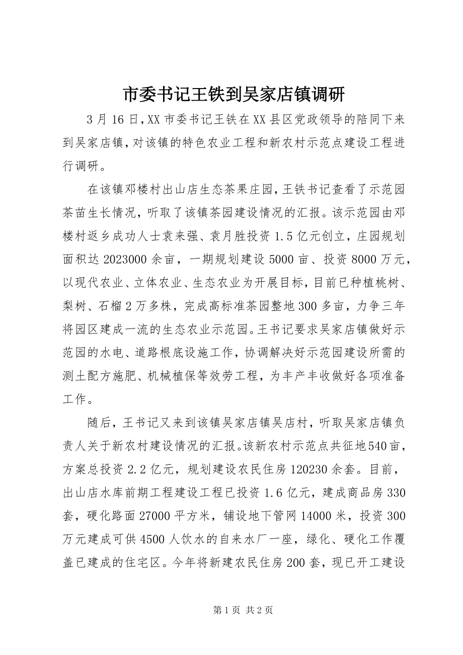 2023年市委书记王铁到吴家店镇调研.docx_第1页