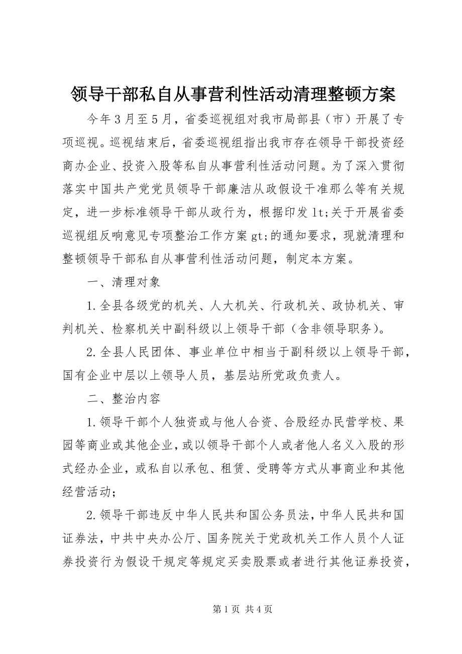 2023年领导干部私自从事营利性活动清理整顿方案.docx_第1页