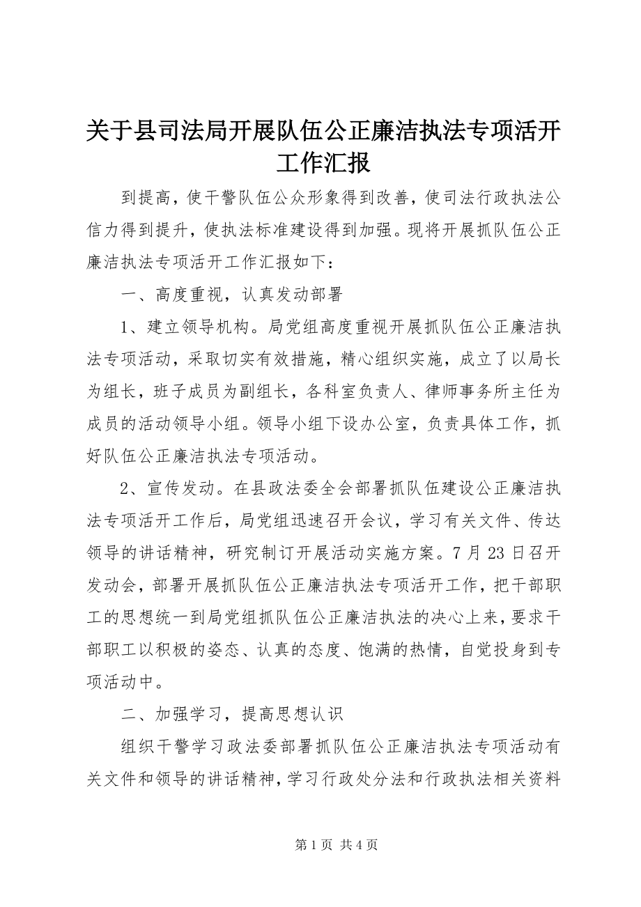 2023年县司法局开展队伍公正廉洁执法专项活动工作汇报.docx_第1页