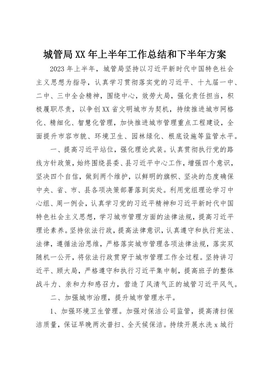 2023年城管局某年上半年工作总结和下半年计划.docx_第1页