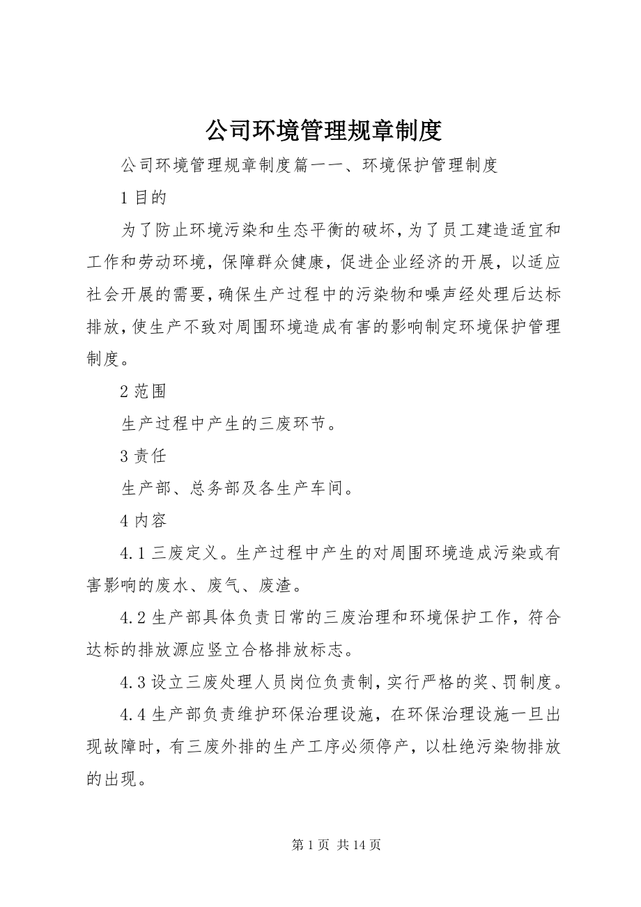 2023年公司环境管理规章制度.docx_第1页