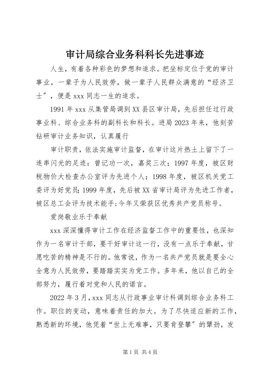 2023年审计局综合业务科科长先进事迹.docx_第1页