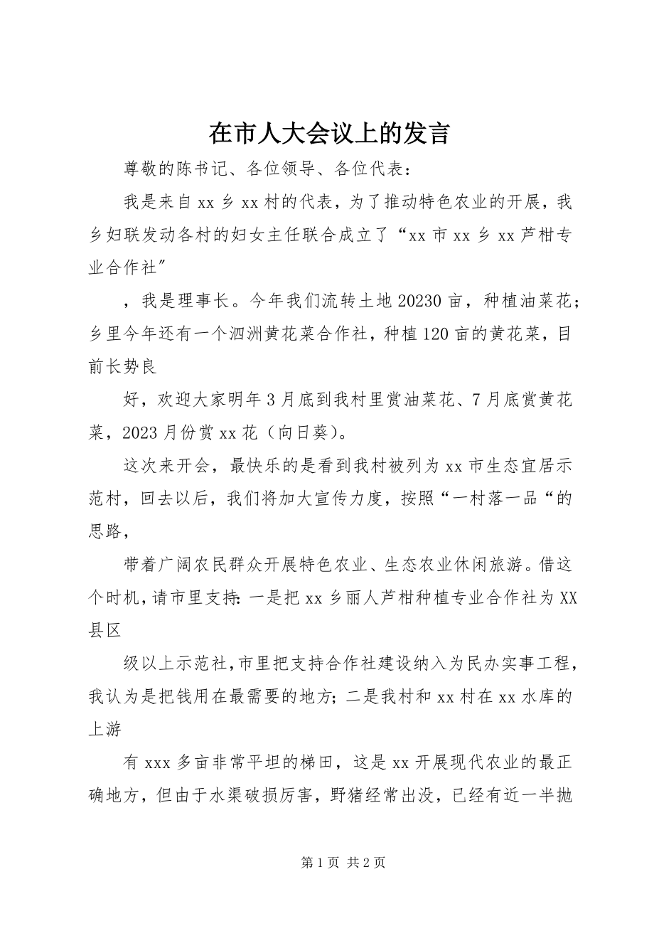 2023年在市人大会议上的讲话.docx_第1页