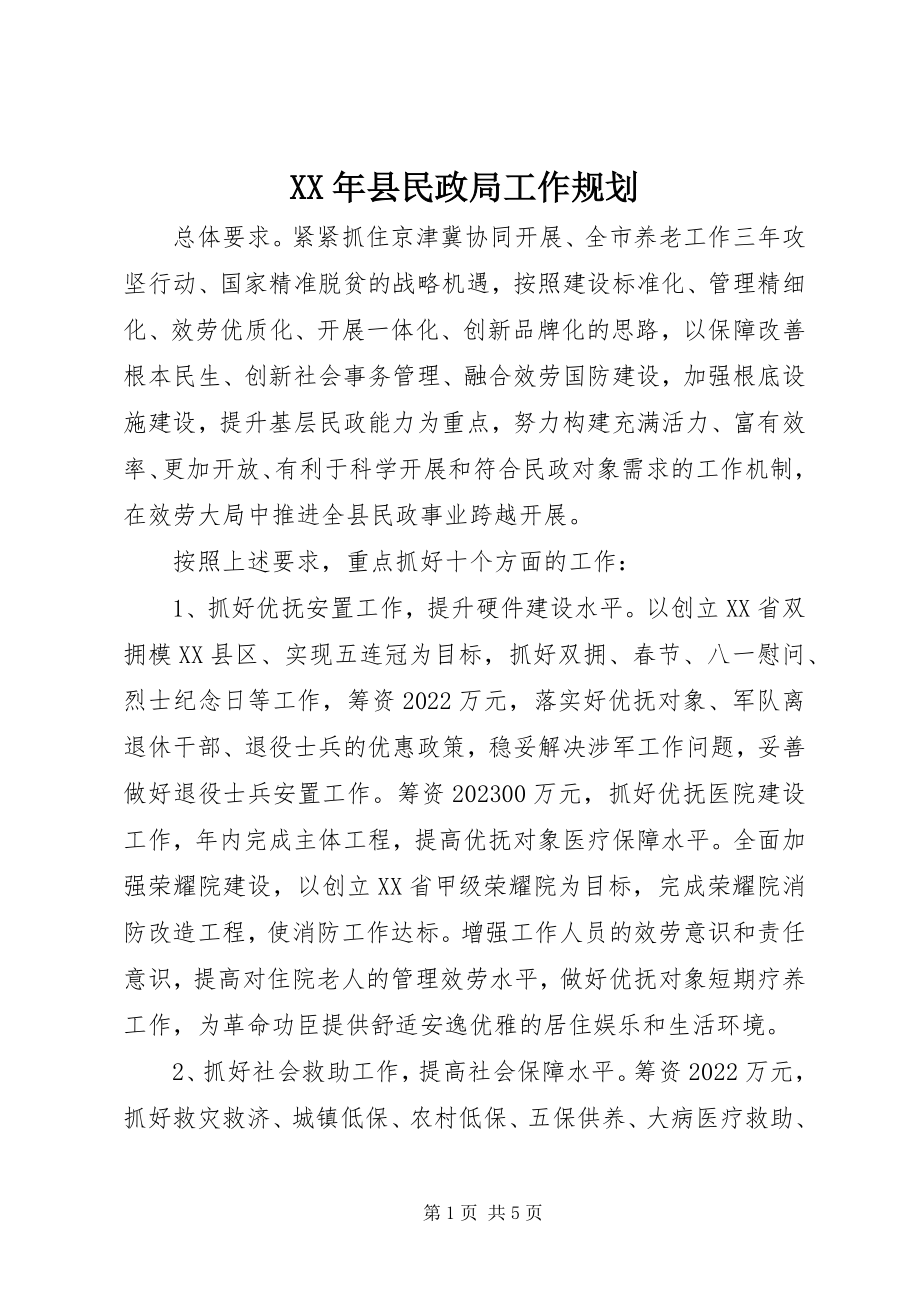 2023年县民政局工作规划.docx_第1页