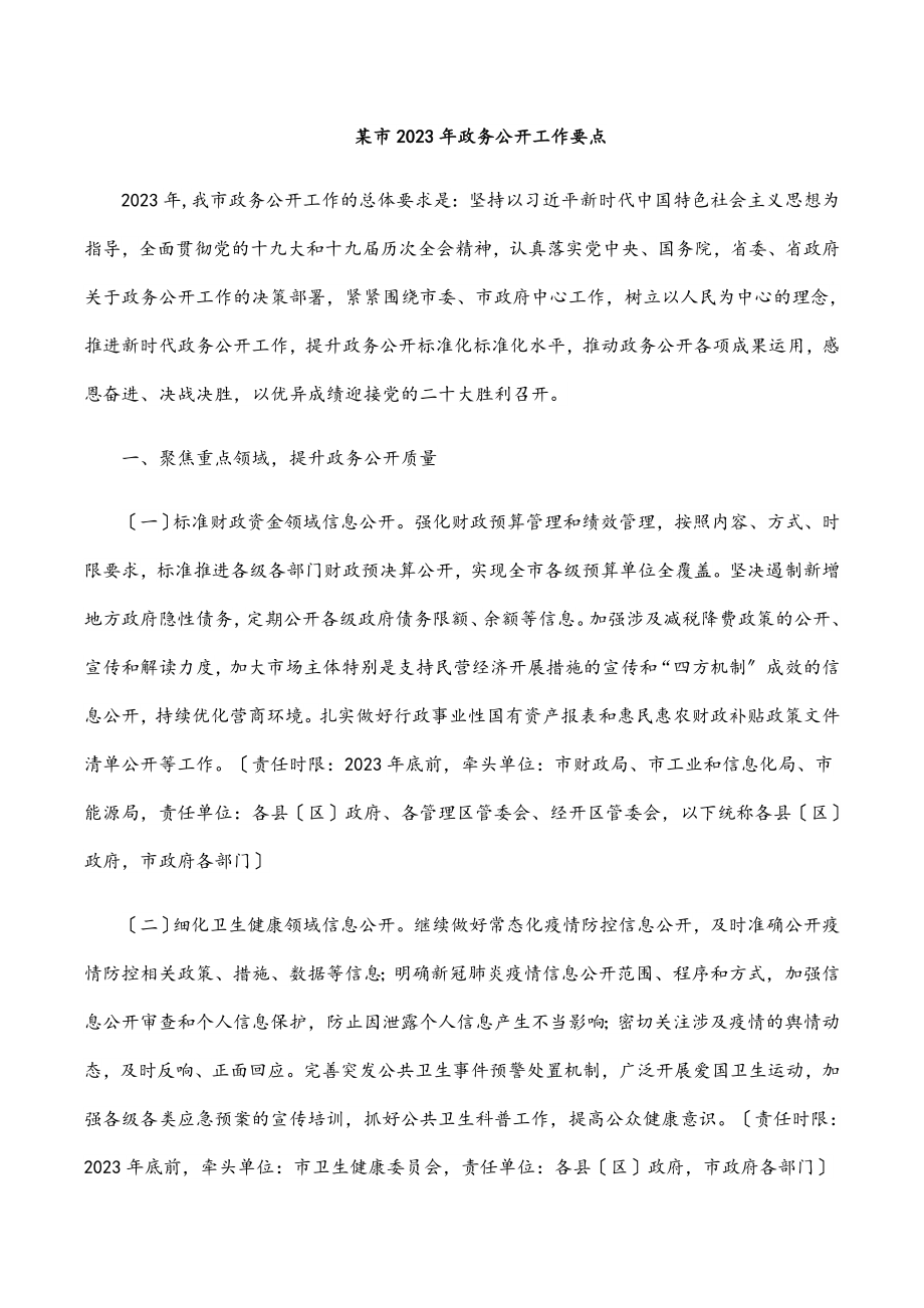 xx市2023年政务公开工作要点范文.docx_第1页