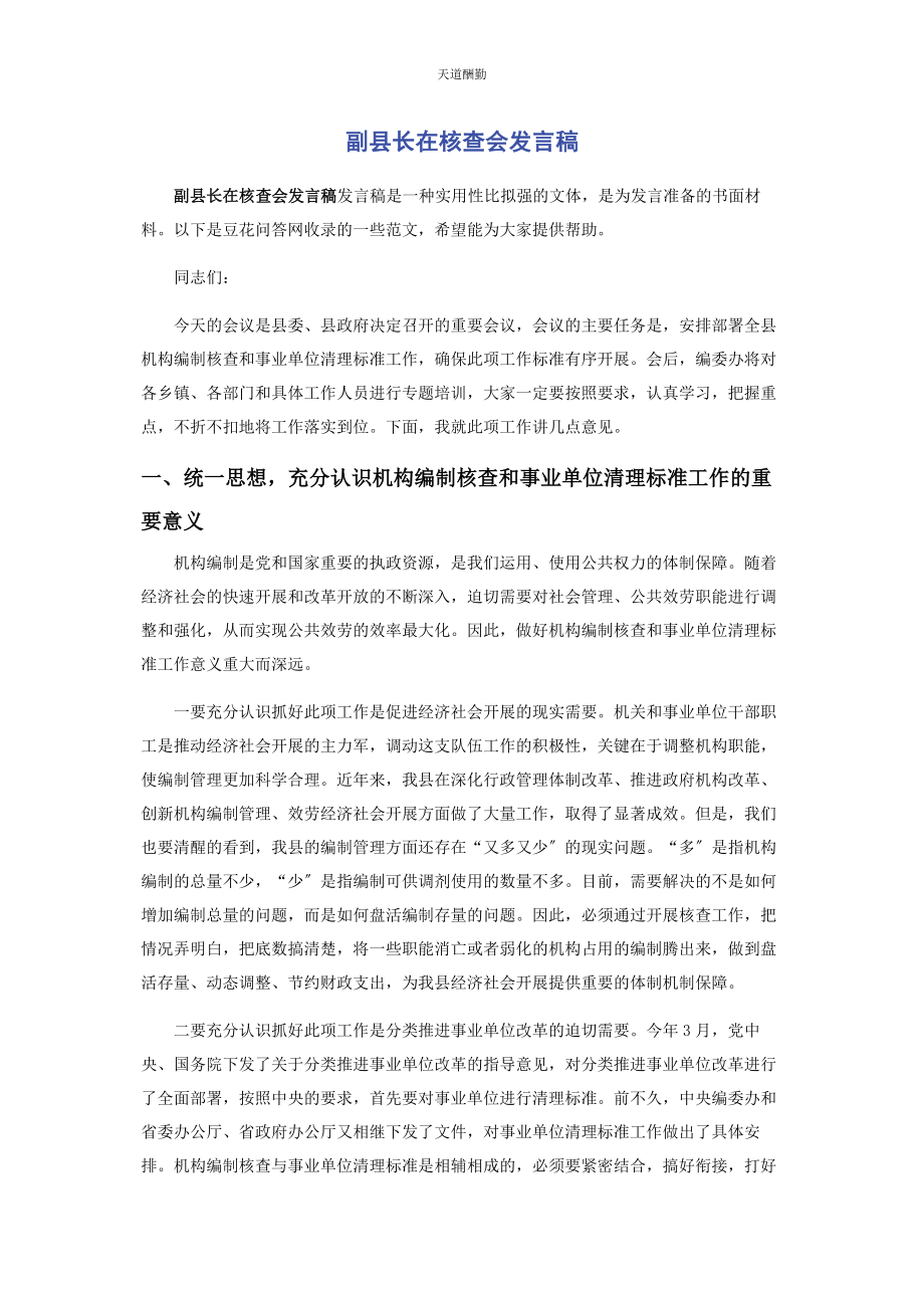 2023年副县长在核查会发言稿范文.docx_第1页