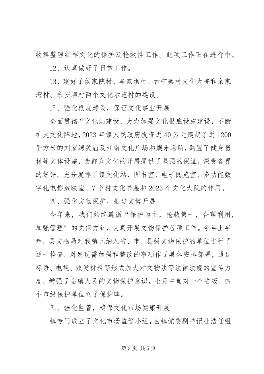 2023年乡镇文化站年度文化活动工作总结.docx_第3页