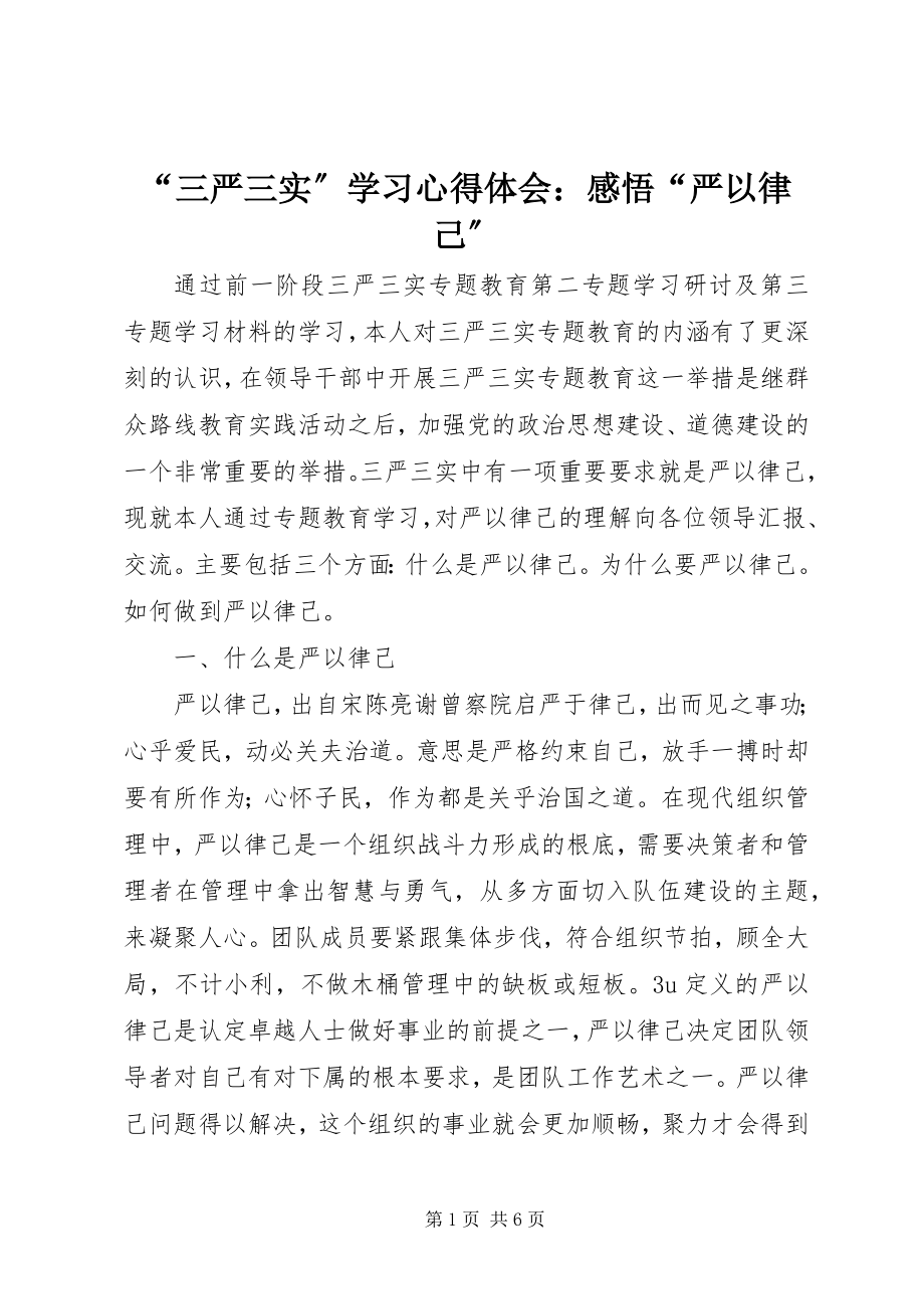 2023年三严三实学习心得体会感悟严以律己.docx_第1页